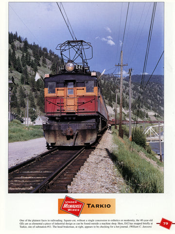 Under Milwaukee Wires - The Color Photography of Sanford Goodrick and William C. Janssen (Digital Reprint)