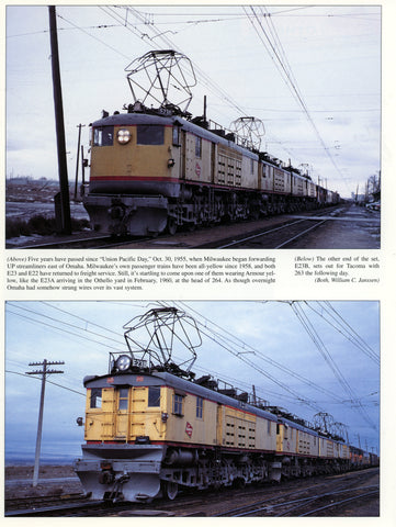 Under Milwaukee Wires - The Color Photography of Sanford Goodrick and William C. Janssen (Digital Reprint)