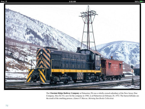 Railroading Behind the Fences (eBook)