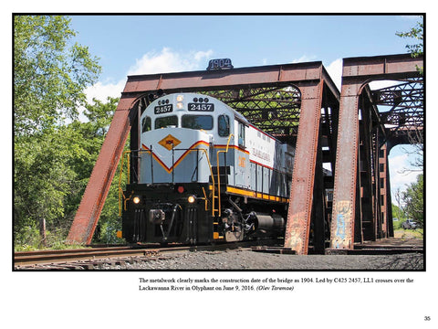 Delaware Lackawanna RR (eBook)