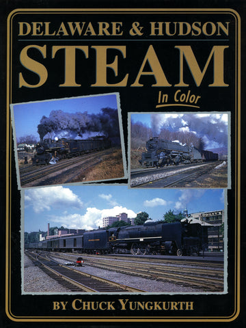 Delaware and Hudson Steam In Color